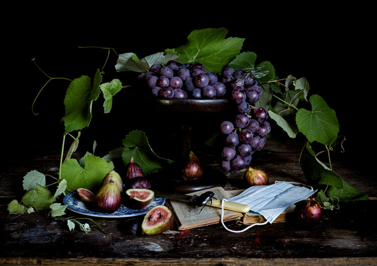 Moody photograph of grapes, leaves, figs, a surgical mask and beetle all in frame
