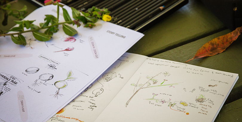 a piece of paper with botanical sketches and a journal of botanical sketches next to an orange leaf and yellow flower on a green table