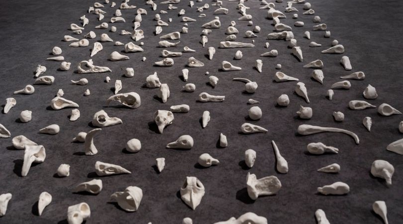 LAG 20250718 HR-48- LA size