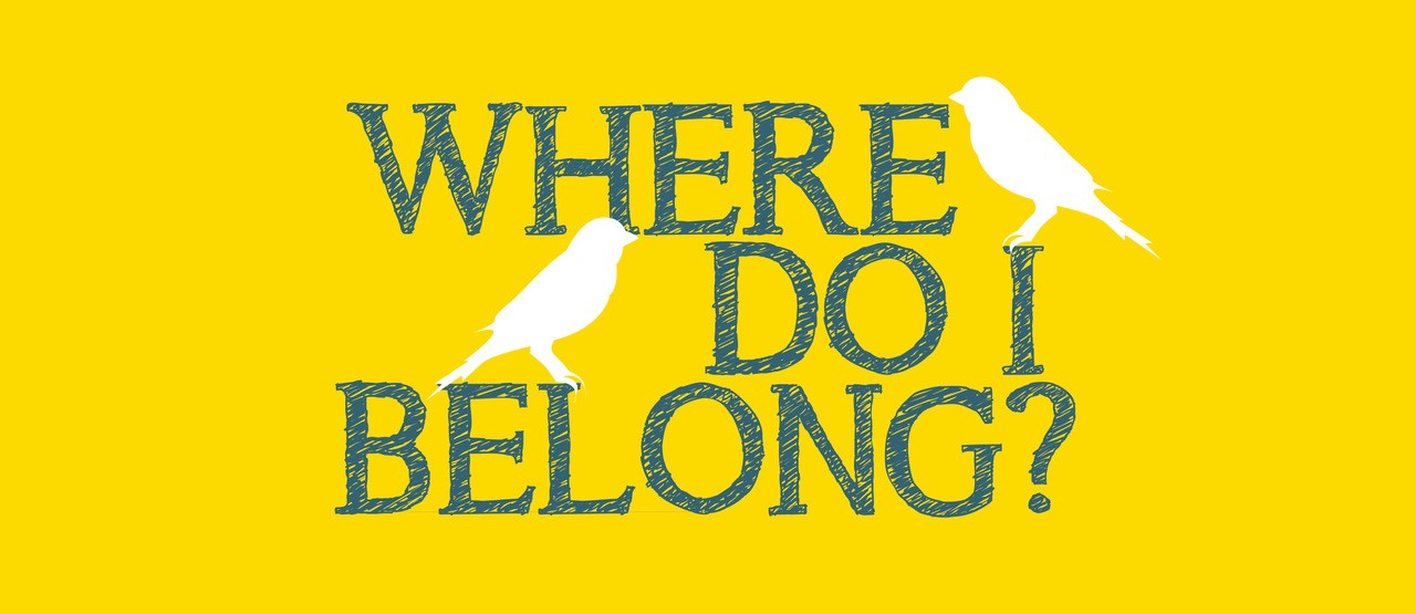 WDIB dark teal graphic