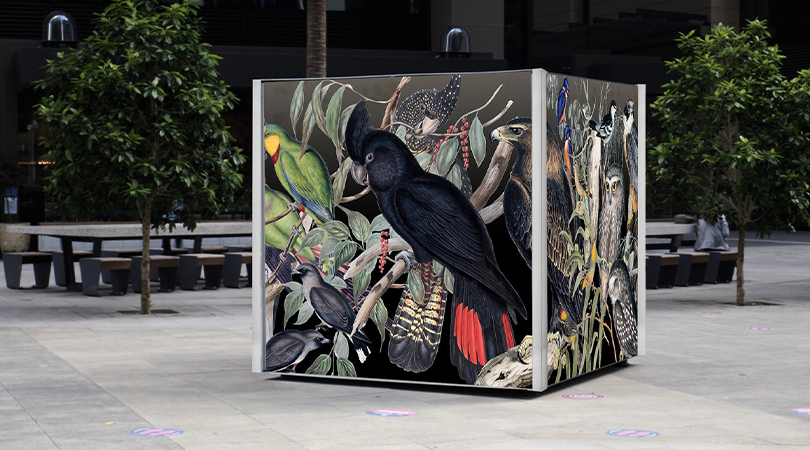 Birdbox 810x450