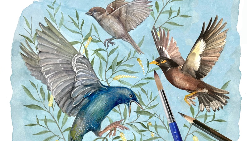 bird workshop 800px