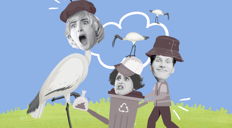 Bin Chicken Web